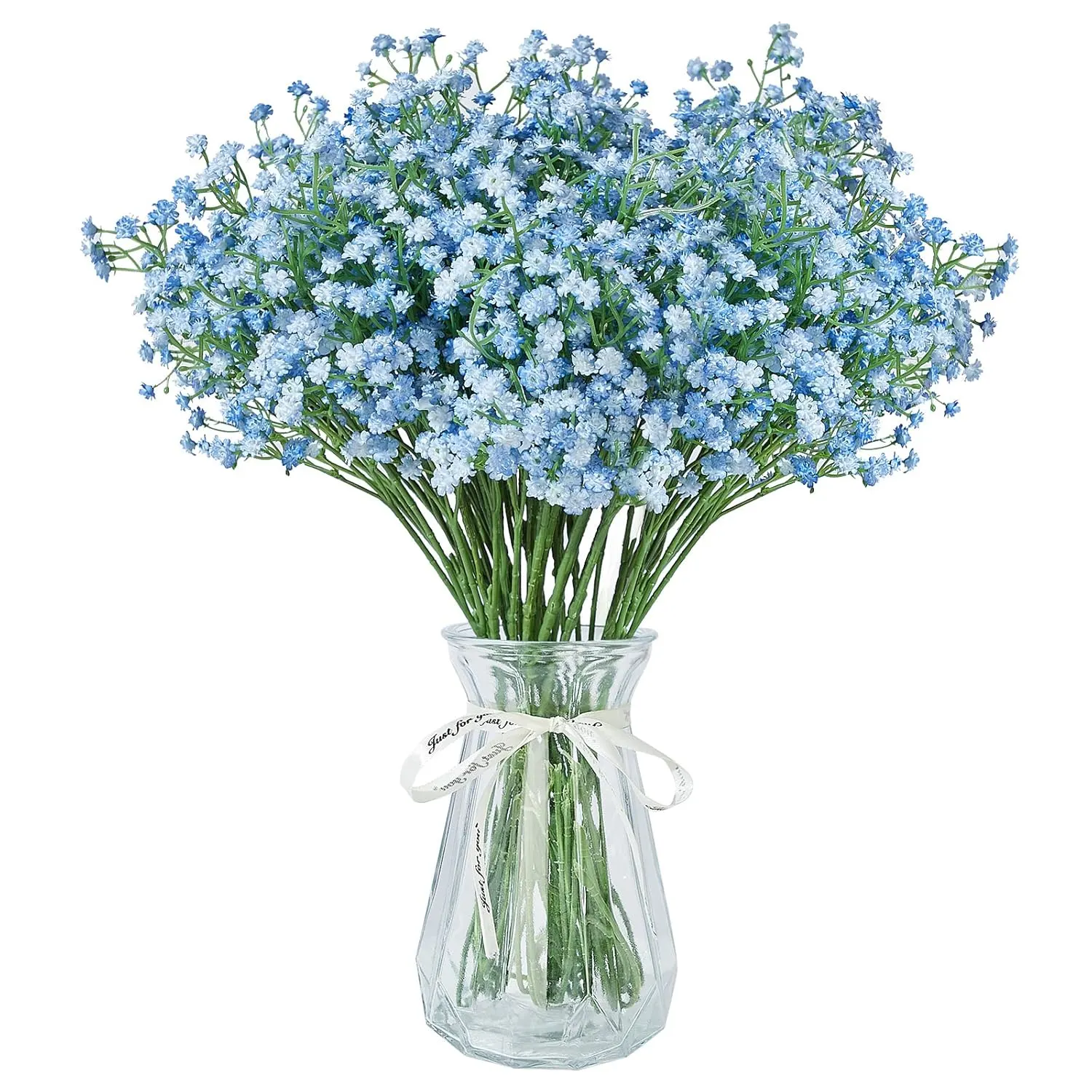 baby breath blue 1