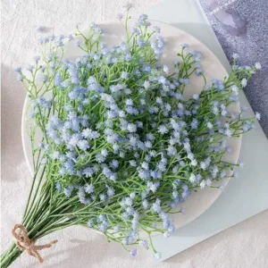 baby breath blue 7