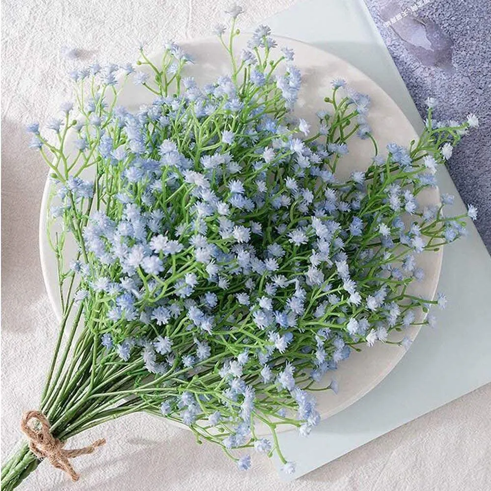 baby breath blue 7