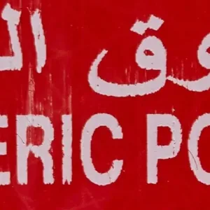 bayara turmeric powder 7