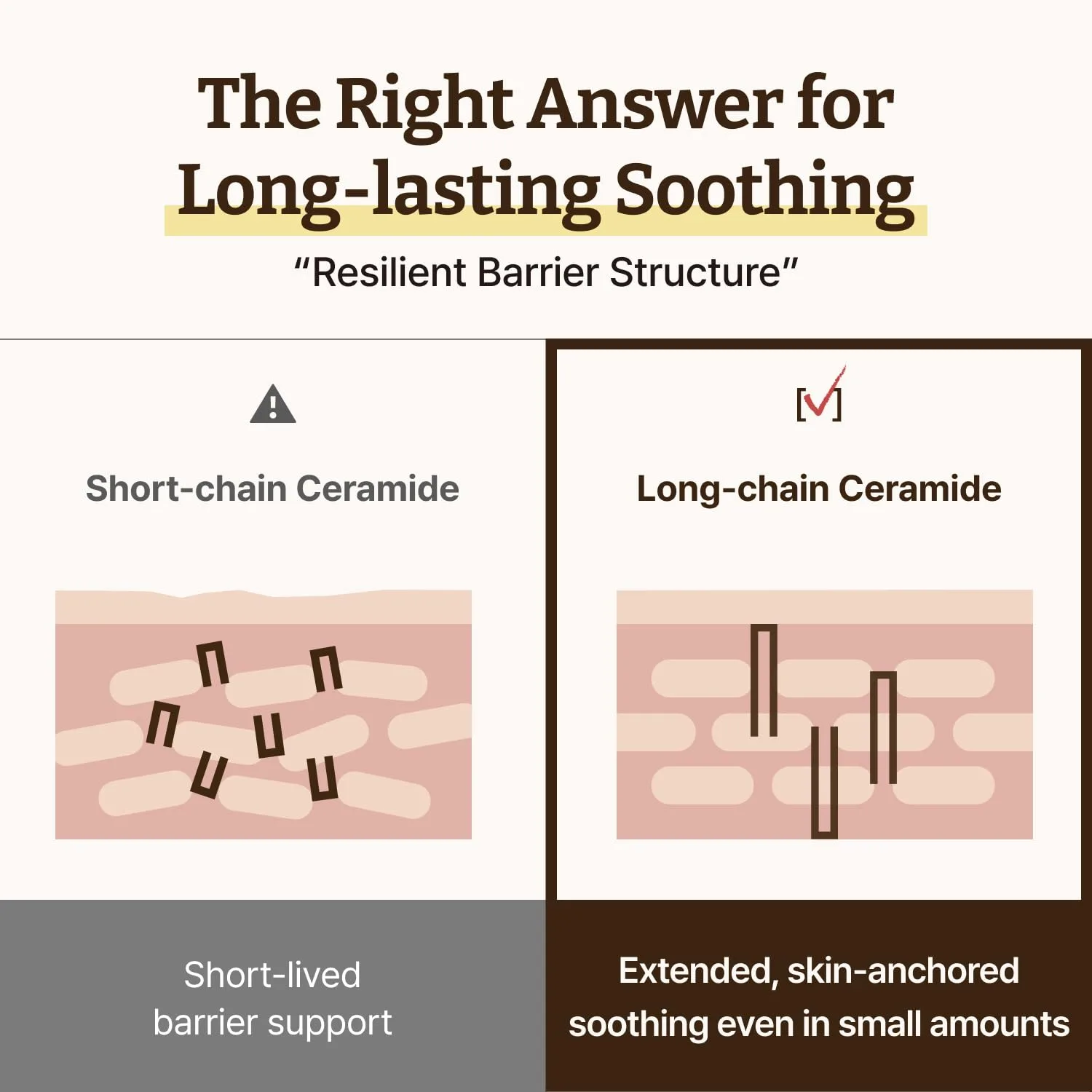 ceramide barrier cream 5