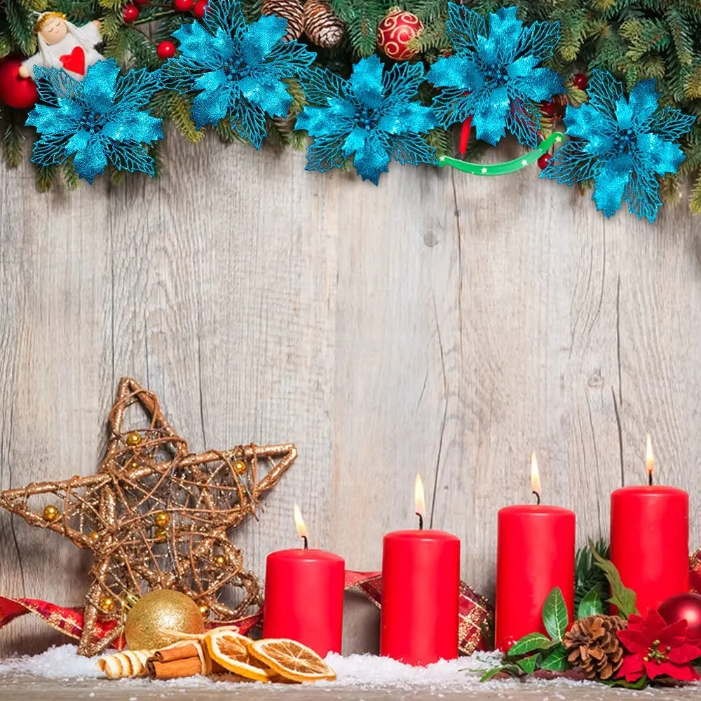 christmas poinsettia flowers 2