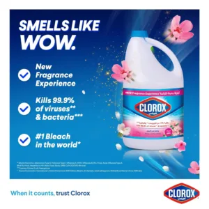 clorox bleach liquid 3