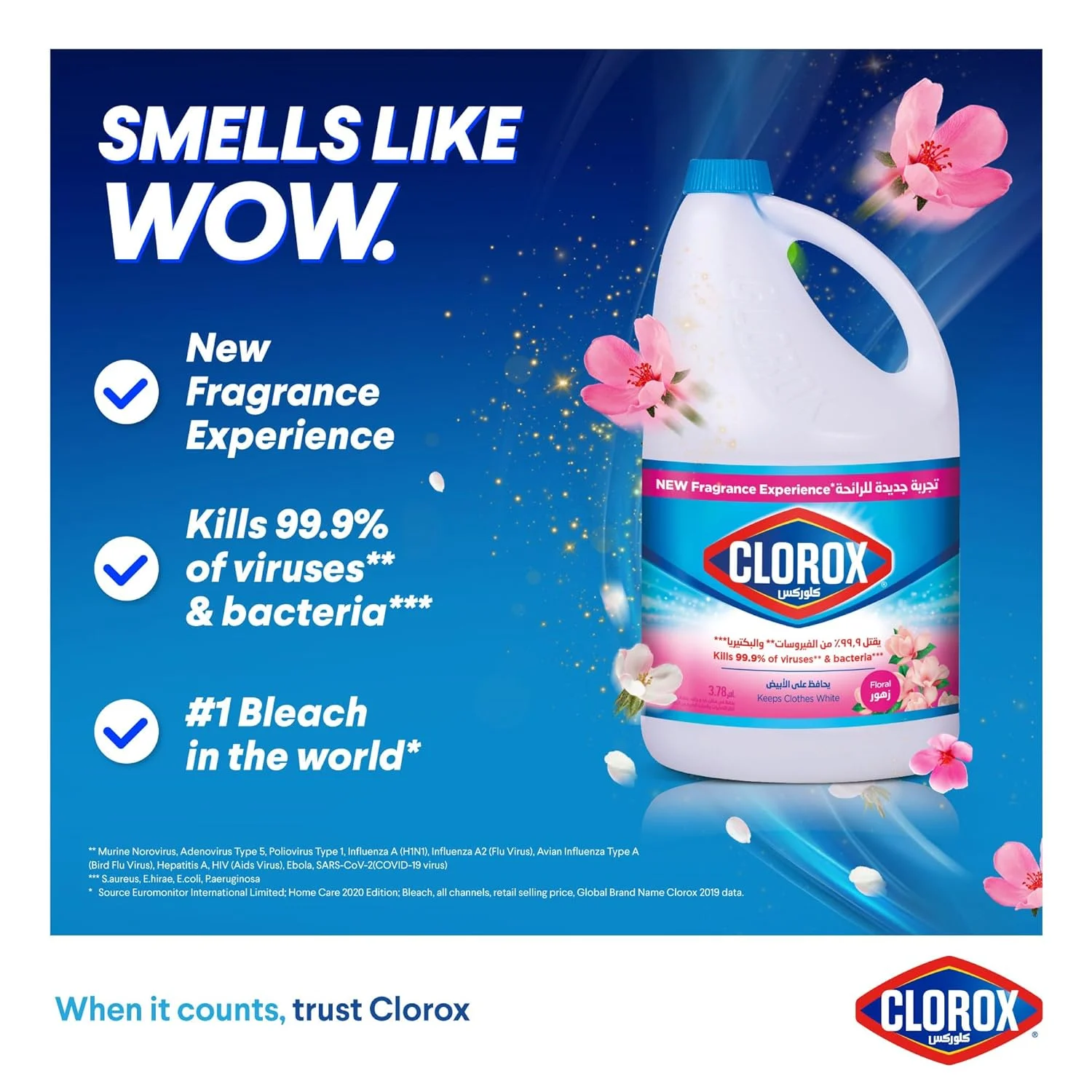 clorox bleach liquid 3