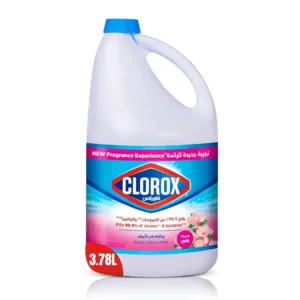 clorox bleach liquid 7
