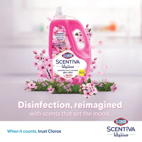 clorox floor cleaner 3