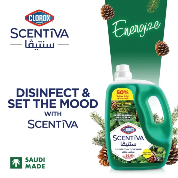 clorox floor cleaner pine 2