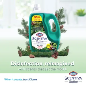 clorox floor cleaner pine 3