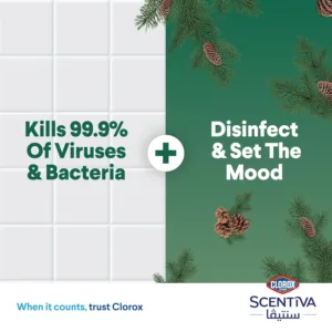 clorox floor cleaner pine 4