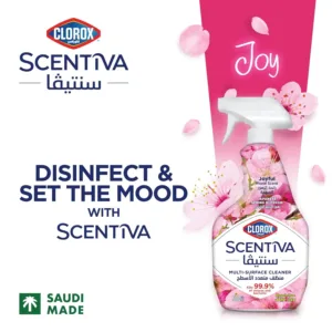 clorox multi surface 2