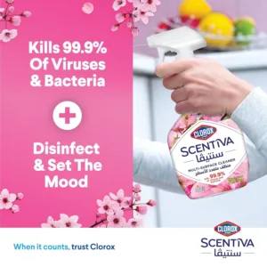 clorox multi surface 3