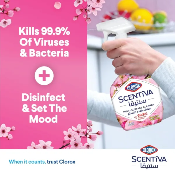 clorox multi surface 3