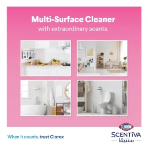clorox multi surface 4