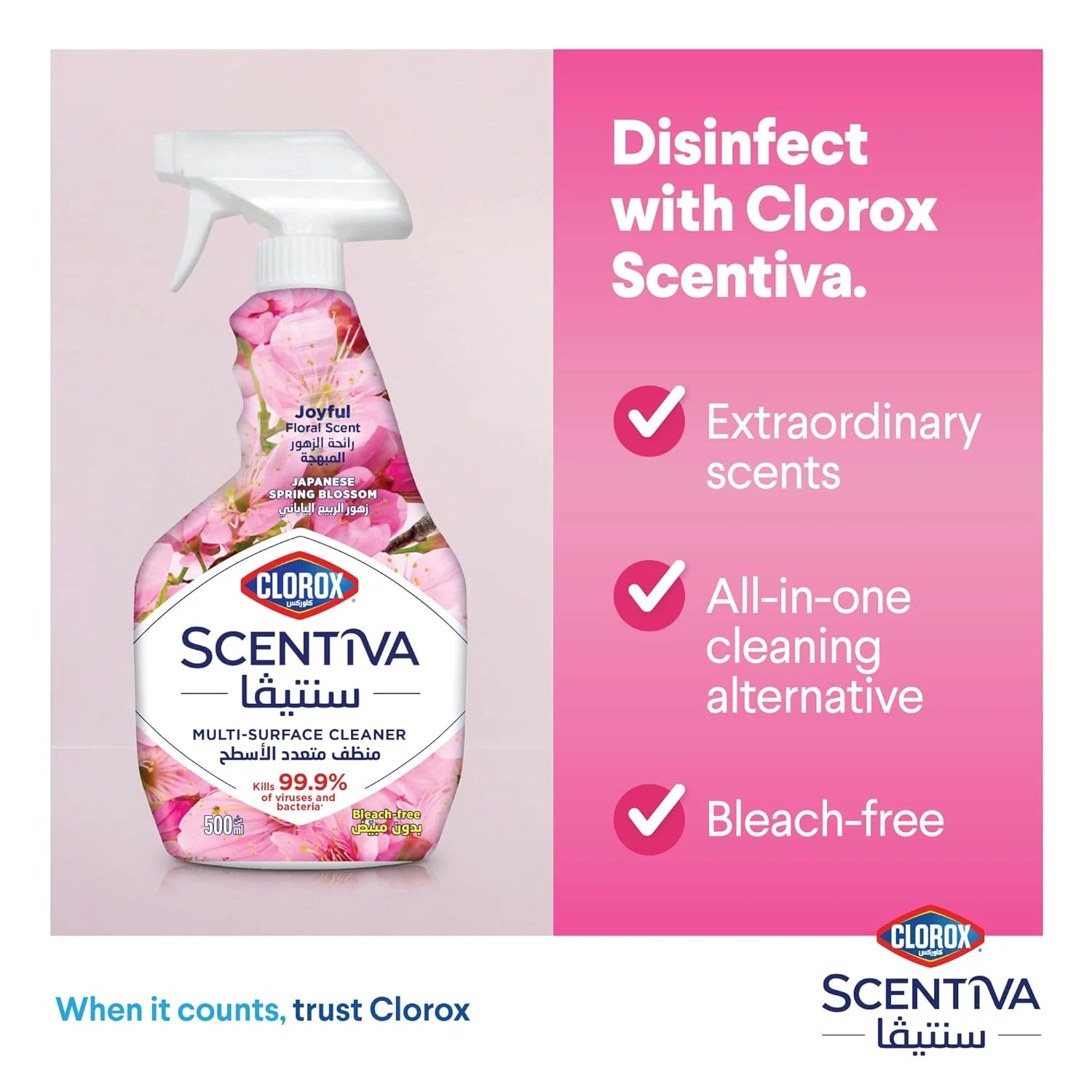 clorox multi surface 5