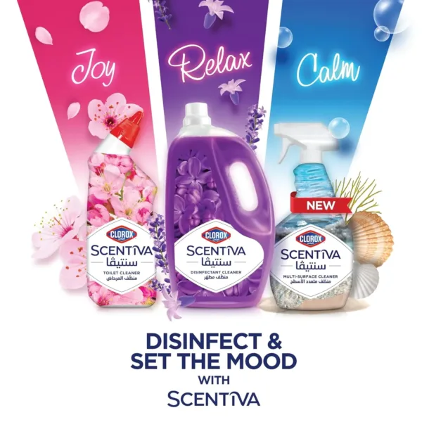 clorox multi surface 6