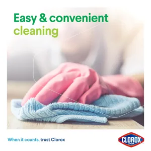 clorox multipurpose cleaner 6