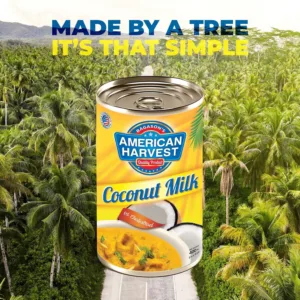 coconut milk 400ml 7