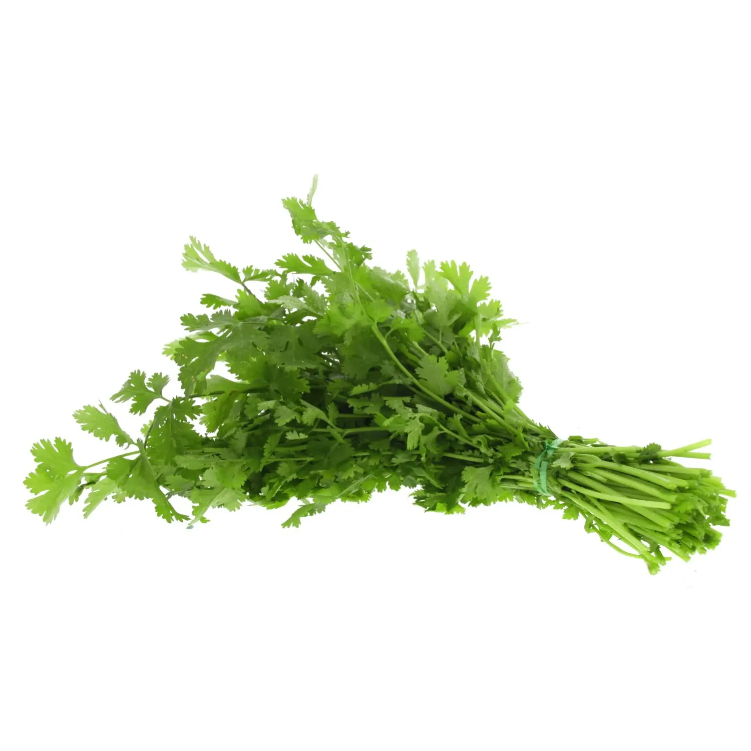 coriander leaves lulu 1