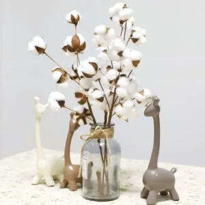 cotton stems dried flower 4