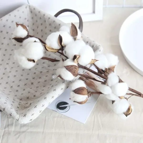 cotton stems dried flower 7