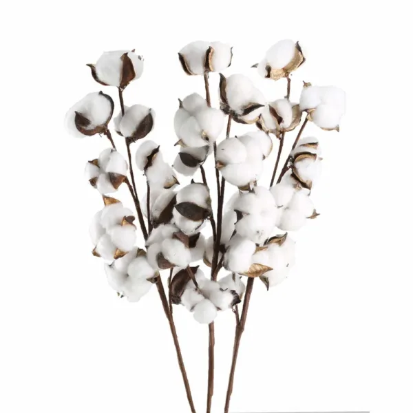 cotton stems farmhouse decor 1