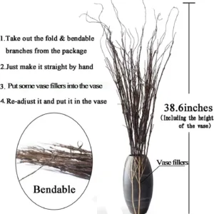 curly willow branches 4