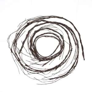 curly willow branches 5