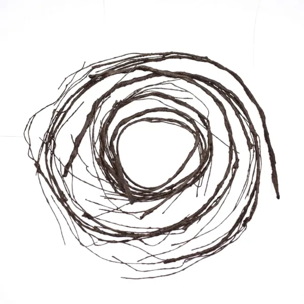 curly willow branches 5