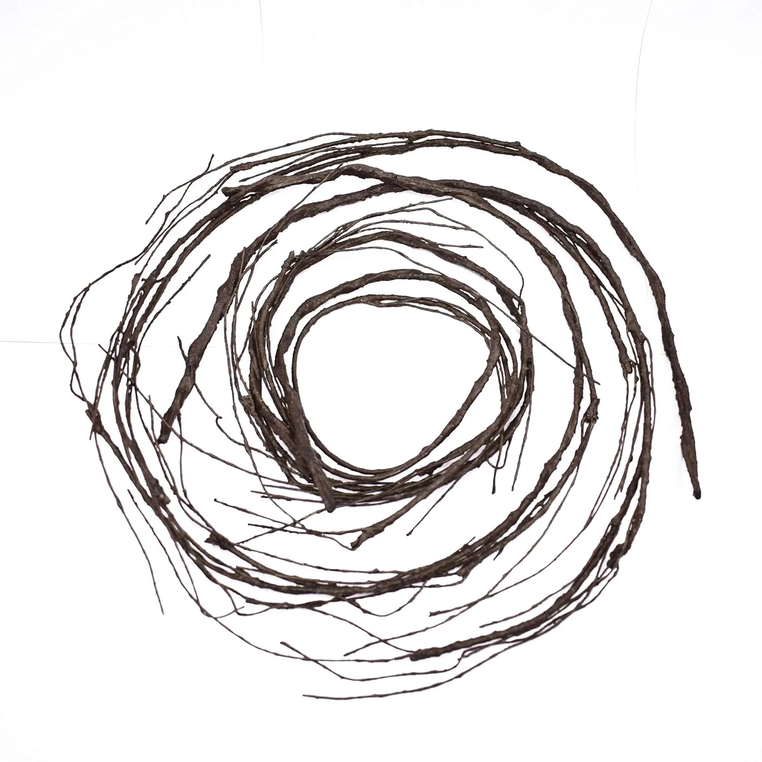 curly willow branches 5