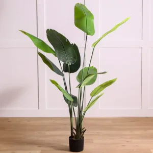 danube home banana tree 1