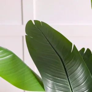 danube home banana tree 2