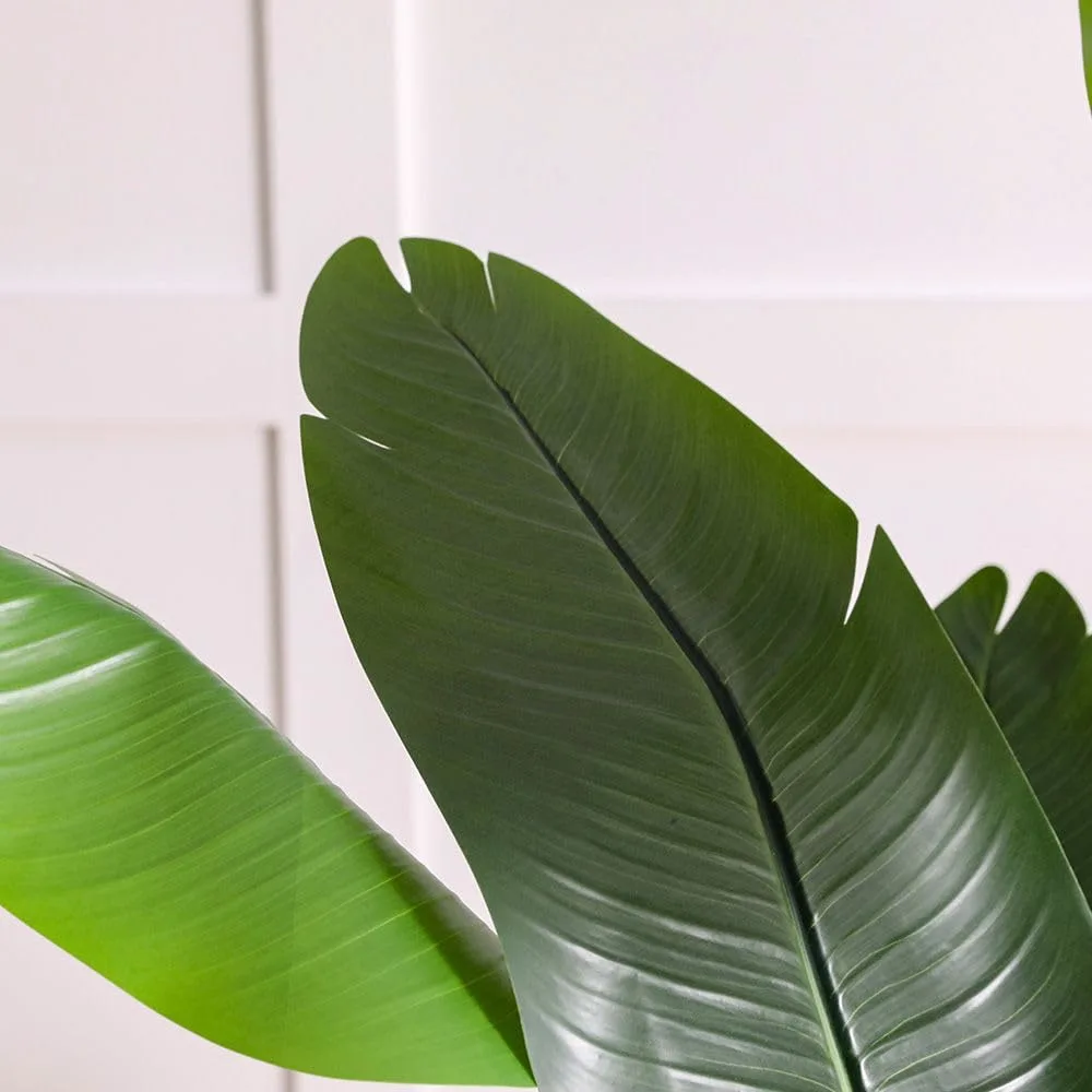 danube home banana tree 2