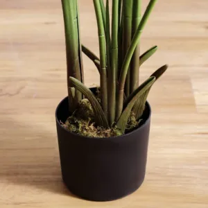 danube home banana tree 3