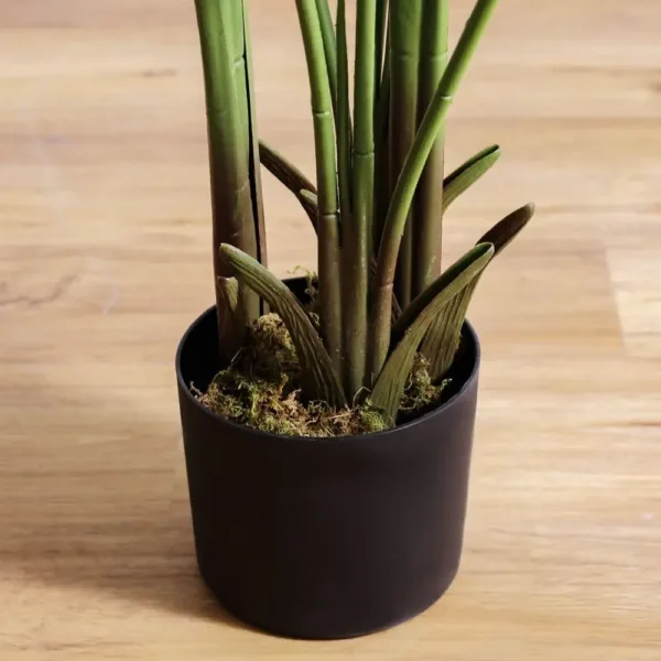 danube home banana tree 3