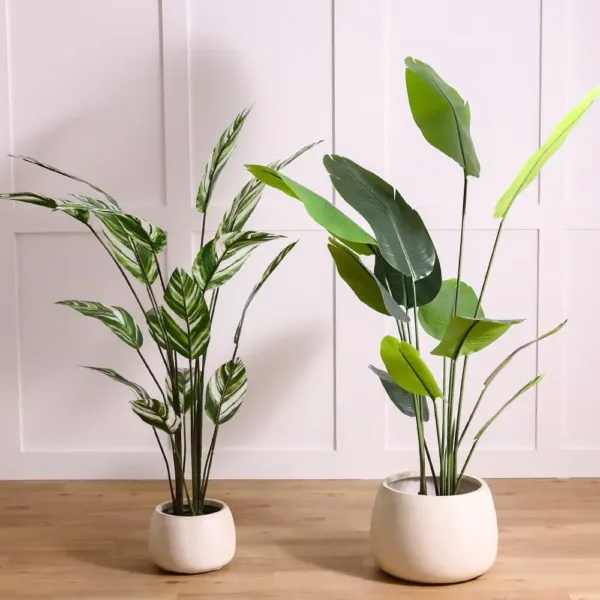 danube home banana tree 4