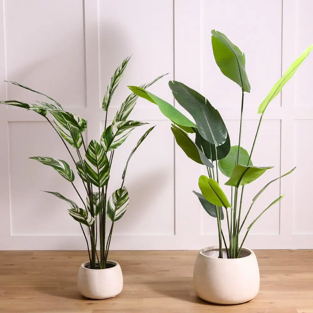 danube home banana tree 4