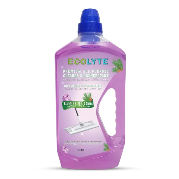 ecolyte floor cleaner 1