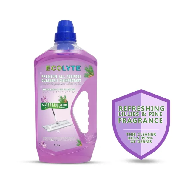 ecolyte floor cleaner 2