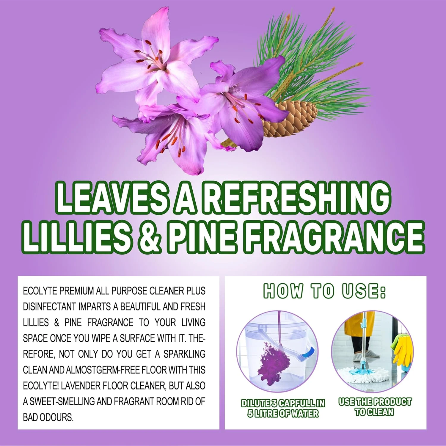 ecolyte floor cleaner 5