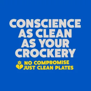 ecover dishwasher tablets 6