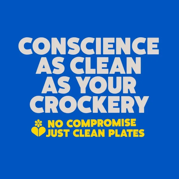 ecover dishwasher tablets 6