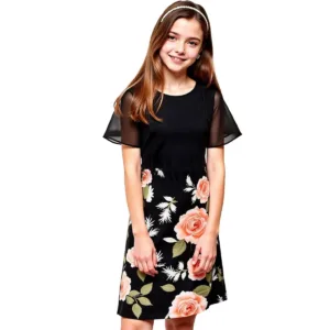 girls dress ruffle sleeve 1