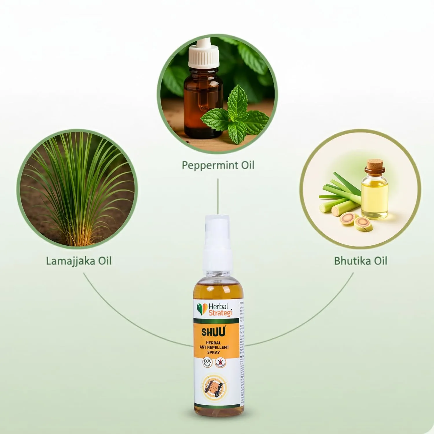 herbal ant repellent 3