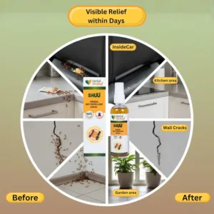 herbal ant repellent 4