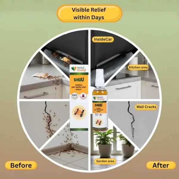 herbal ant repellent 4