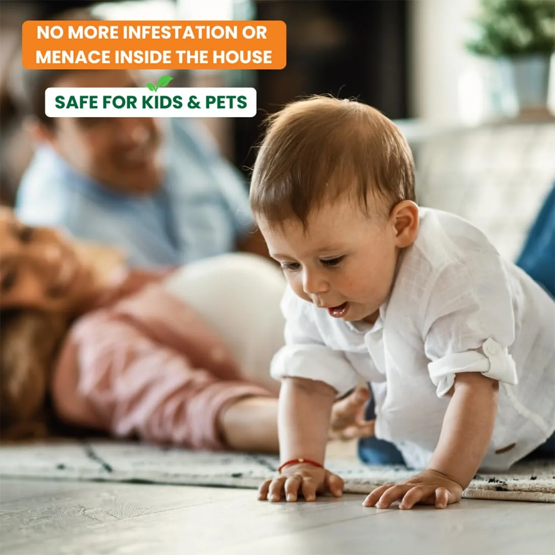 herbal ant repellent 5