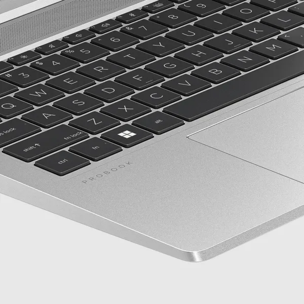 hp probook 455 g10 6