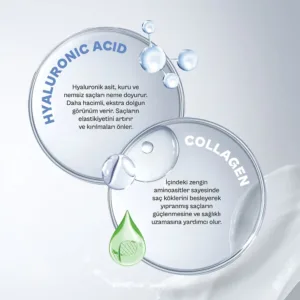 hyaluronic acid collagen 3