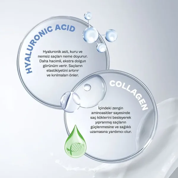 hyaluronic acid collagen 3