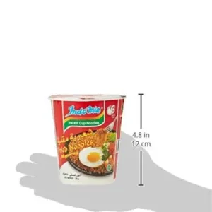 indomie mi goreng noodles 5